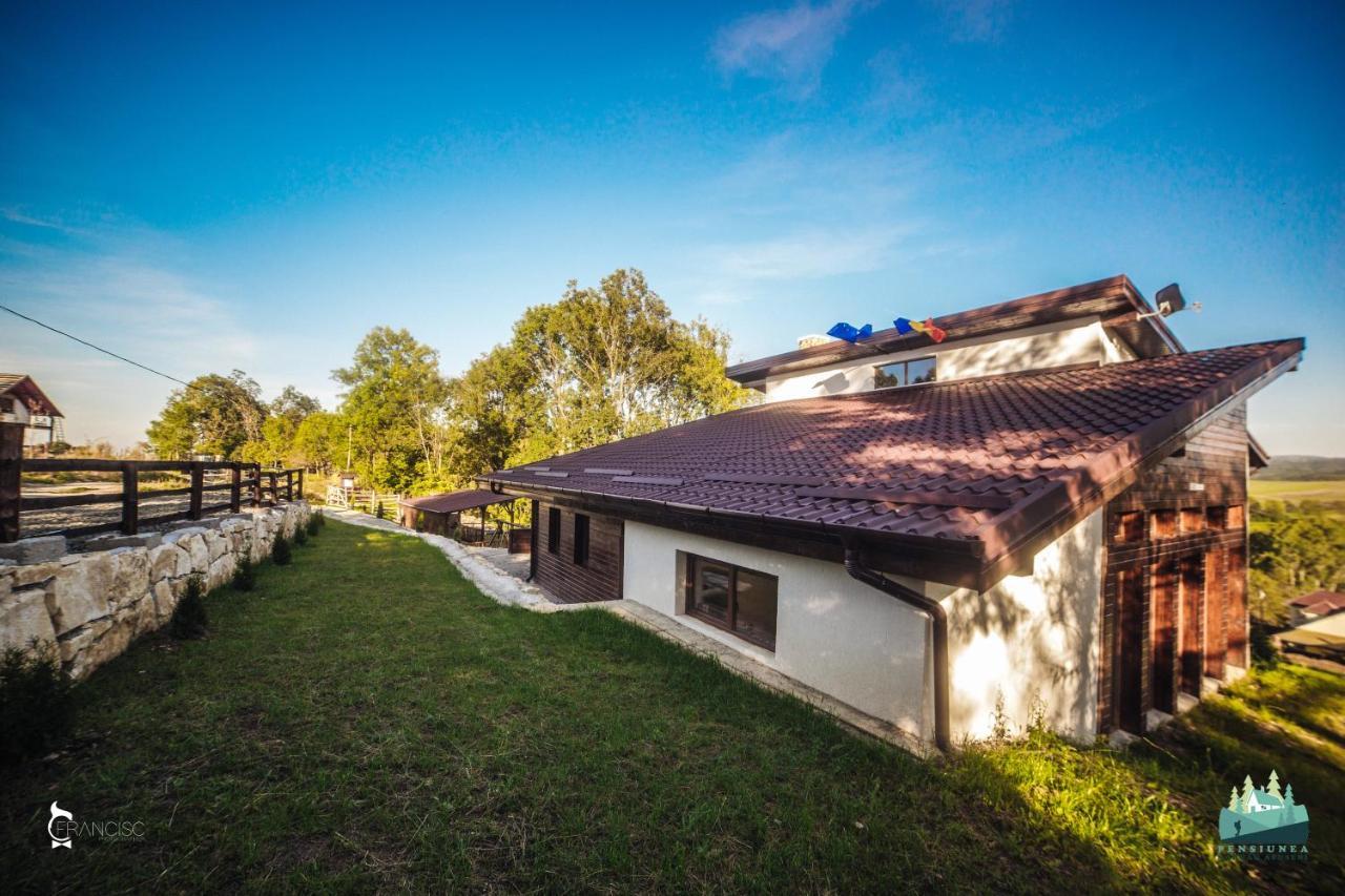 Villa Retreat Margau Apuseni-Adults Only- Wellness & Wellbeing Exterior foto